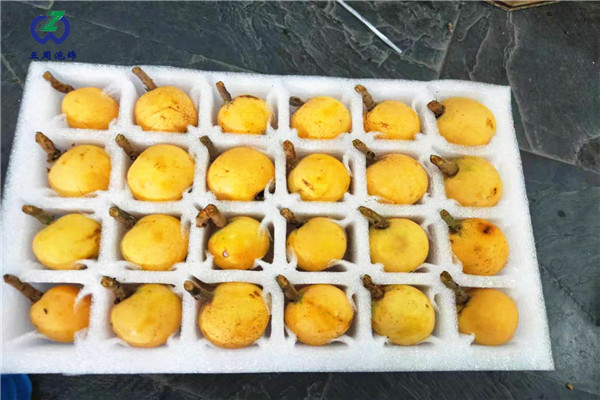 枇杷內(nèi)托的制作材料對(duì)人體有害嗎？