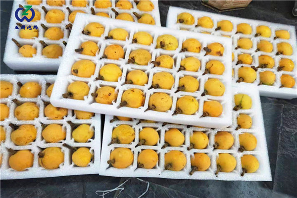 珍珠棉水果托定做，就找五周泡綿